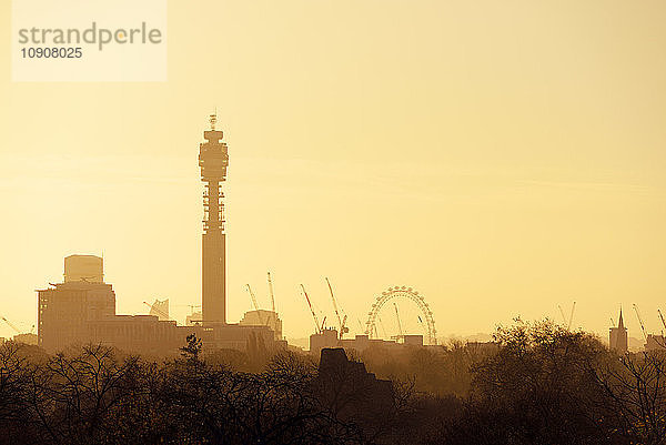 UK  London  skyline with BT Tower and London Eye in morning light