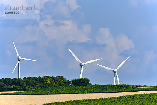 Deutschland  Rheinland-Pfalz  Windkraftanlagen und Felder