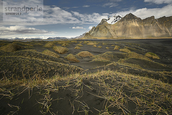 Island  Landschaft im Süden