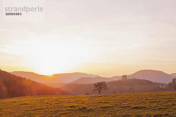 Frankreich  Elsass  Regionaler Naturpark Nordvogesen bei Sonnenuntergang mit Blick auf Schloss Fleckenstein