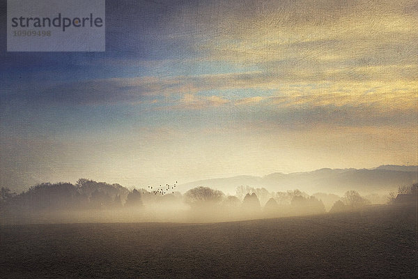 Gernany  Nordrhein-Westfalen  Morgennebel über Feldern