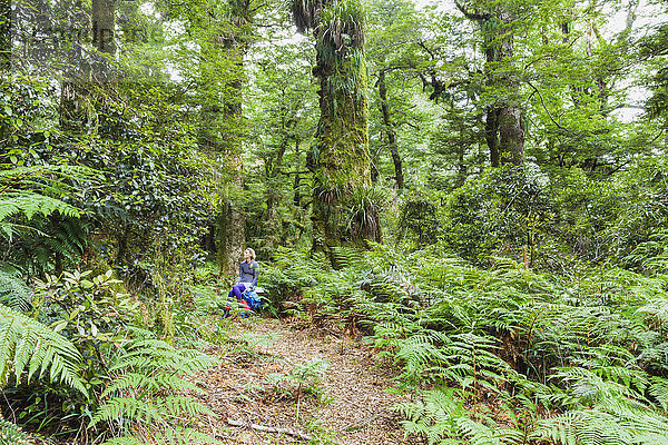 Neuseeland  Nordinsel  Te Urewera Nationalpark  Wanderin  die sich auf dem Pfad ausruht und auf Bäume blickt.