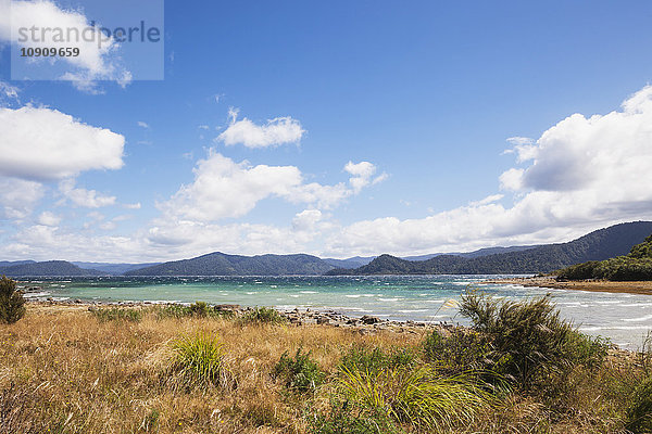 Neuseeland  Nordinsel  Te Urewera Nationalpark  Lake Waikaremoana