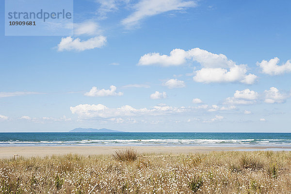 Neuseeland  Nordinsel  Coromandel-Region  Waihi Beach  Südpazifik  Strand
