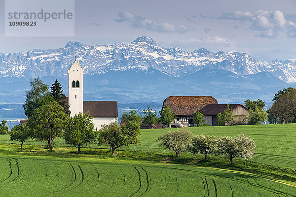 Deutschland  Bodenseekreis  St. Michaelskirche bei Überlingen  Schweizer Alpen mit Saentis im Hintergrund