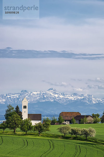 Deutschland  Bodenseekreis  St. Michaelskirche bei Überlingen  Schweizer Alpen mit Saentis im Hintergrund