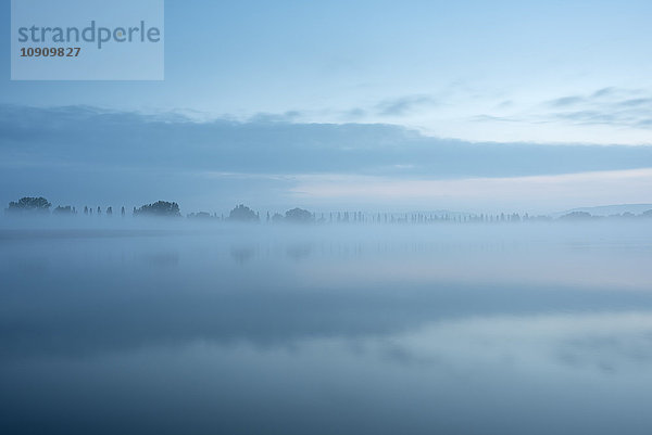 Deutschland  Bodenseekreis  Bodensee  Blick auf Radolfzeller Aach am Morgen  Nebel