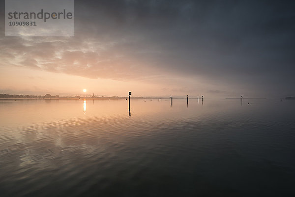 Deutschland  Bodenseekreis  Bodensee  Blick zum Radolfzeller Seeufer bei Sonnenaufgang