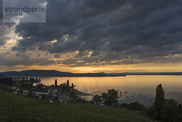Schweiz  Thurgau  Salenstein  Blick über den Bodensee  Halbinsel Hoeri und Hegau am Horizont