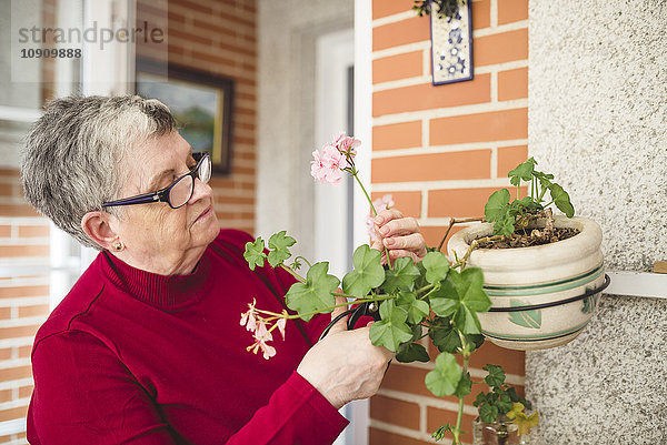 Seniorin  die sich um ihre Pflanzen kümmert