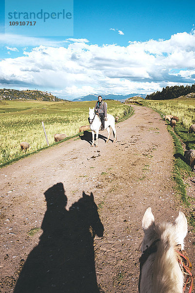 Peru  Cusco  Mann reitet auf einem Feldweg  umgeben von Schafen.