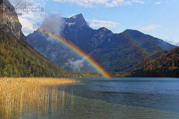 Österreich  Steiermark  Eisenerz  Hochschwab  Pfaffenstein  Leopoldsteiner See  Regenbogen