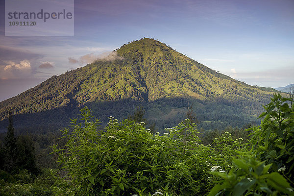 Indonesien  Java  Berglandschaft