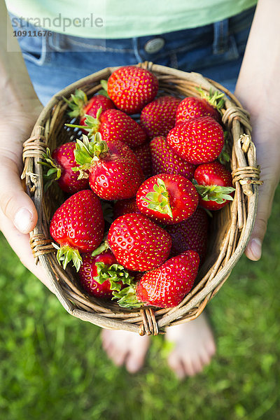 Mädchenhände halten Korb mit Erdbeeren