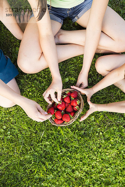 Drei Kinder sitzen auf einer Wiese und nehmen Erdbeeren aus einem Korb.