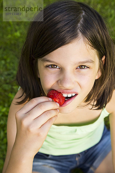 Porträt eines Mädchens  das Erdbeere isst