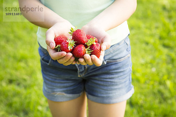 Mädchenhände halten Erdbeeren.