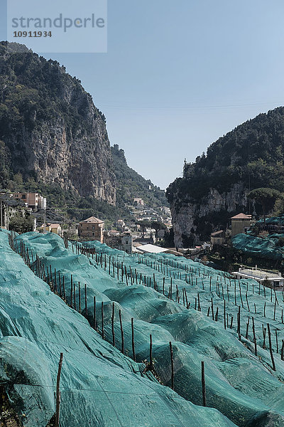 Italien  Kampanien  Amalfi  Valle delle Ferriere  Zitronenplantage mit Netzen bedeckt