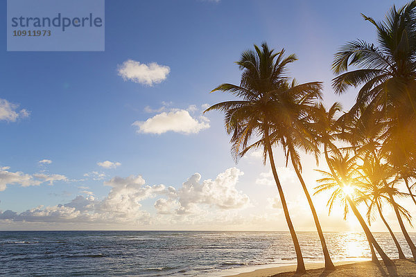 Dominikanische Rebublik  Tropischer Strand mit Palmen bei Sonnenuntergang