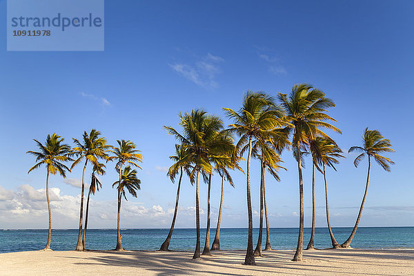 Dominikanische Rebublik  Tropischer Strand mit Palmen