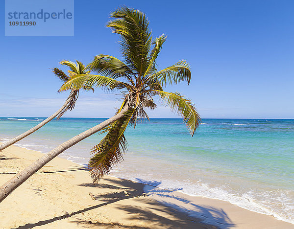 Dominikanische Rebublik  Tropischer Strand mit Palmen