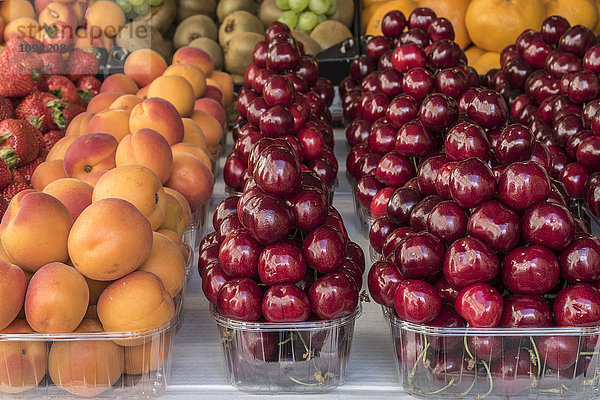 Fruchtvielfalt in Kunststoffschalen auf dem Gallus Markt
