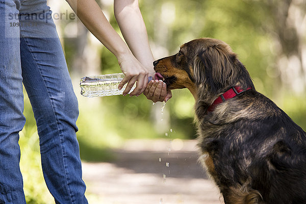 Frau gibt ihrem Hund Wasser zum Trinken