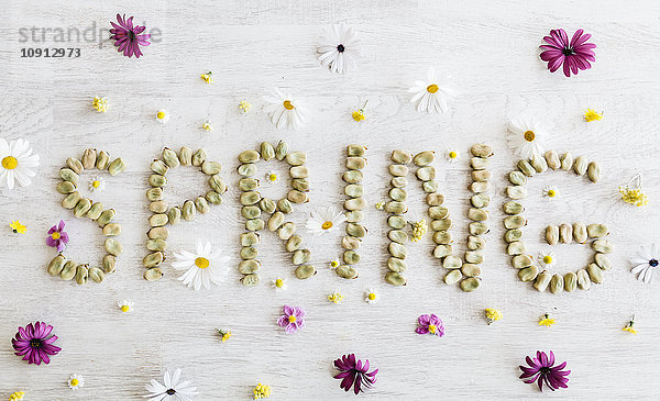 Das Wort Frühling in Form von getrockneten Bohnen  umgeben von Blumen.