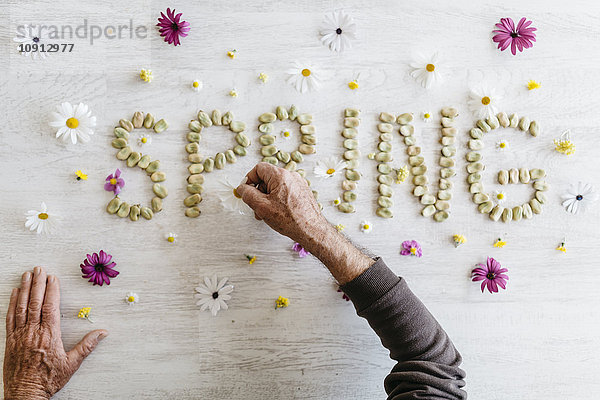 Männerhände formen das Wort Frühling mit getrockneten Bohnen  umgeben von Blumen.