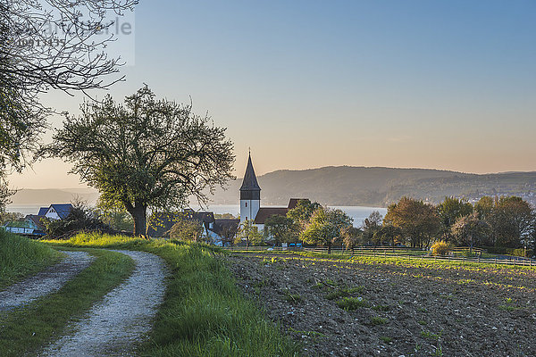 Deutschland  Dingelsdorf  Blick auf die Nikolaikirche am Abend