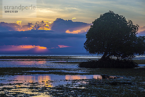 Indonesien  Insel Sumbawa bei Sonnenuntergang