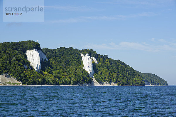 Deutschland  Rügen  Sassnitz  Nationalpark Jasmund  Kreidefelsen Königsstuhl