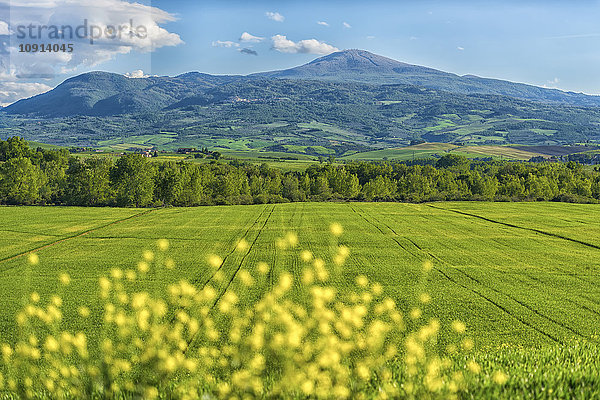 Italien  Toskana  Val d'Orcia  Blick auf Felder und hügelige Landschaft im Frühjahr