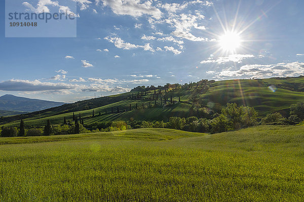 Italien  Toskana  Val d'Orcia  Blick auf Felder und Landschaft im Frühjahr