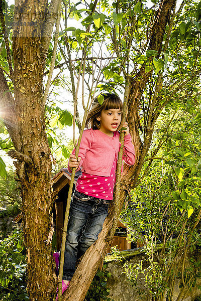 Porträt eines kleinen Mädchens beim Klettern in einem Baum