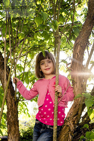 Porträt eines kleinen Mädchens beim Klettern in einem Baum