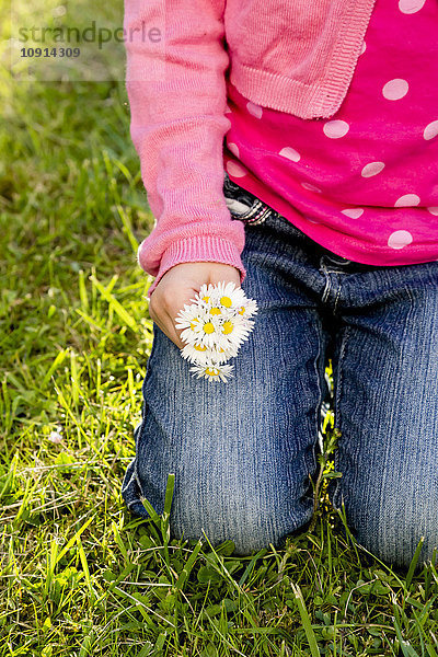 Kleines Mädchen mit Gänseblümchen in der Hand  Nahaufnahme