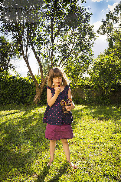 Kleines Mädchen steht auf einer Wiese im Garten und schaut auf die Kirsche.