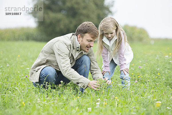 Vater und Tochter pflücken Wildblumen auf der Wiese