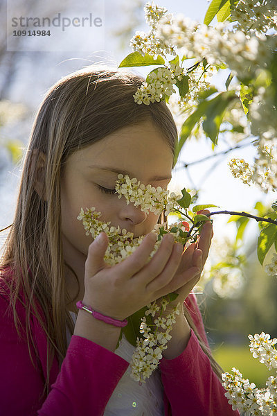 Kleines Mädchen riecht Blüten eines Baumes