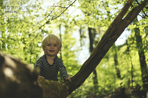 Glücklicher kleiner Junge im Wald