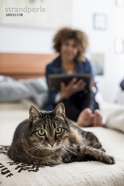 Porträt einer Katze auf dem Bett mit Frau im Hintergrund