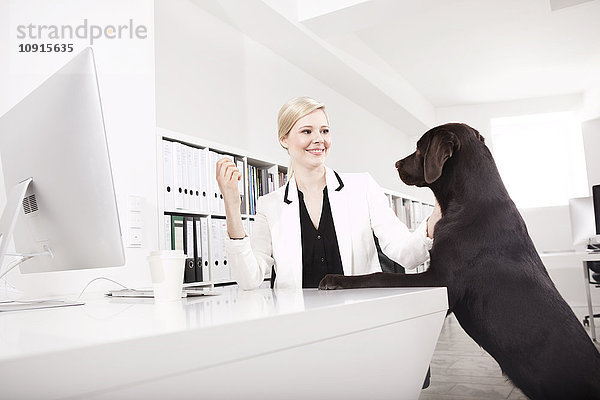 Geschäftsfrau mit ihrem Labrador Retriever im Büro