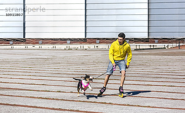 Inline-Skater spielt mit seinem Bullterrier