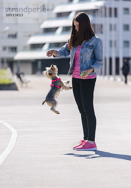 Junge Frau spielt mit ihrem Yorkshire Terrier