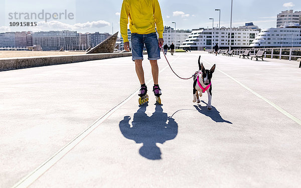 Inline-Skater geht mit seinem Bullterrier spazieren