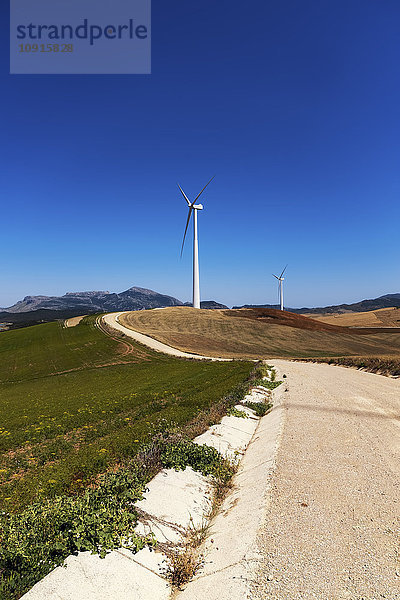 Spanien  Andalusien  Windkraftanlagen  Landstraße und Felder