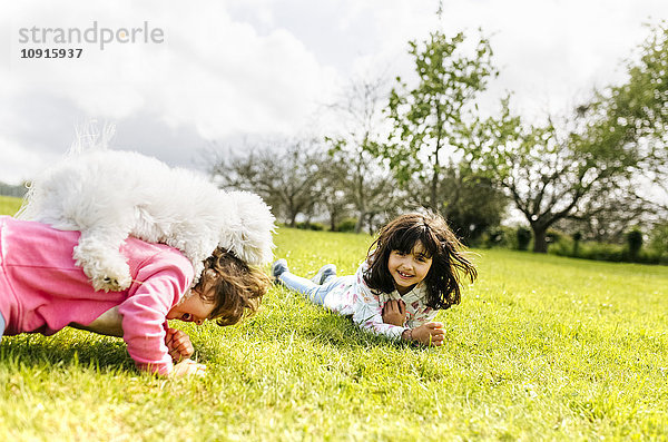 Zwei kleine Schwestern  die mit ihrem Hund auf einer Wiese spielen.