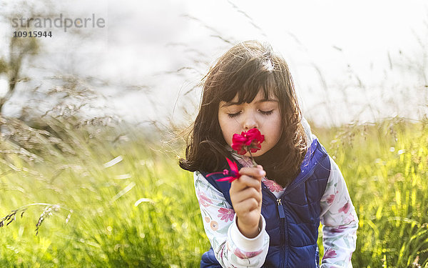 Porträt eines kleinen Mädchens mit roter Blume