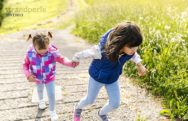 Zwei kleine Schwestern  die Hand in Hand auf einem Weg gehen.